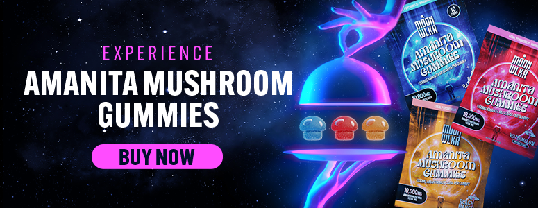 Buy amanita mushroom gummies cta