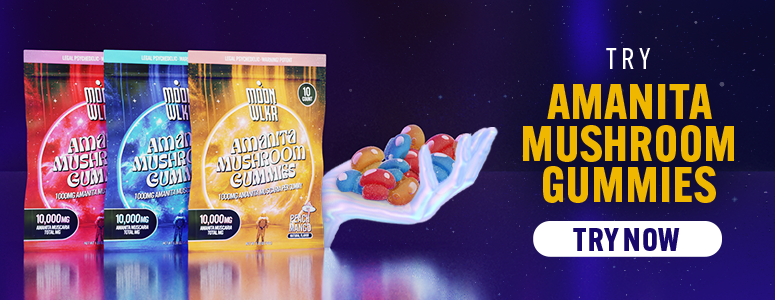 try amanita mushroom gummies cta