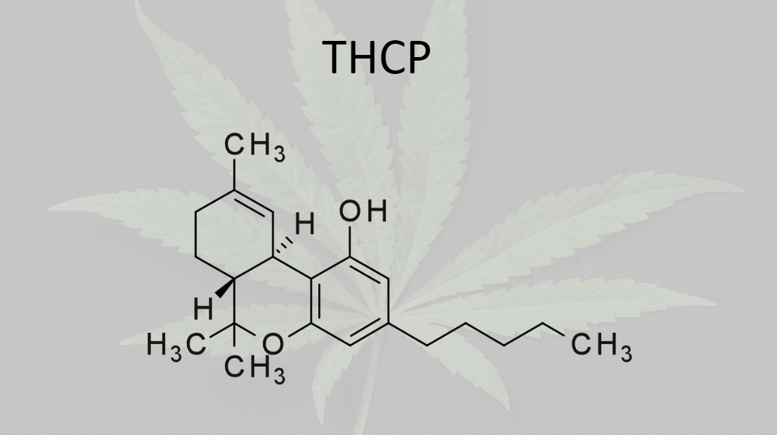 What is THCP?