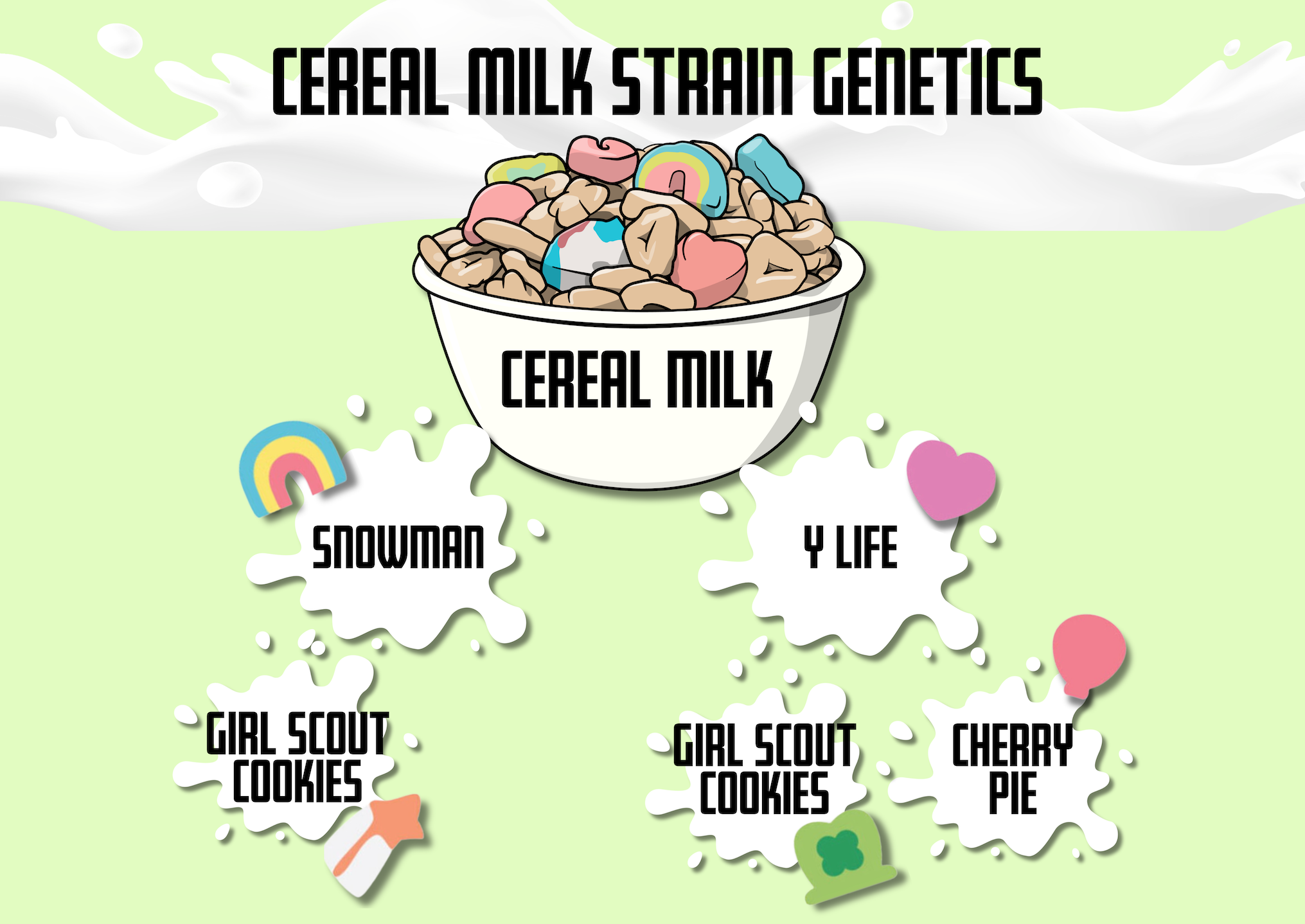 Diagram of Cereal Milk Strain genetics