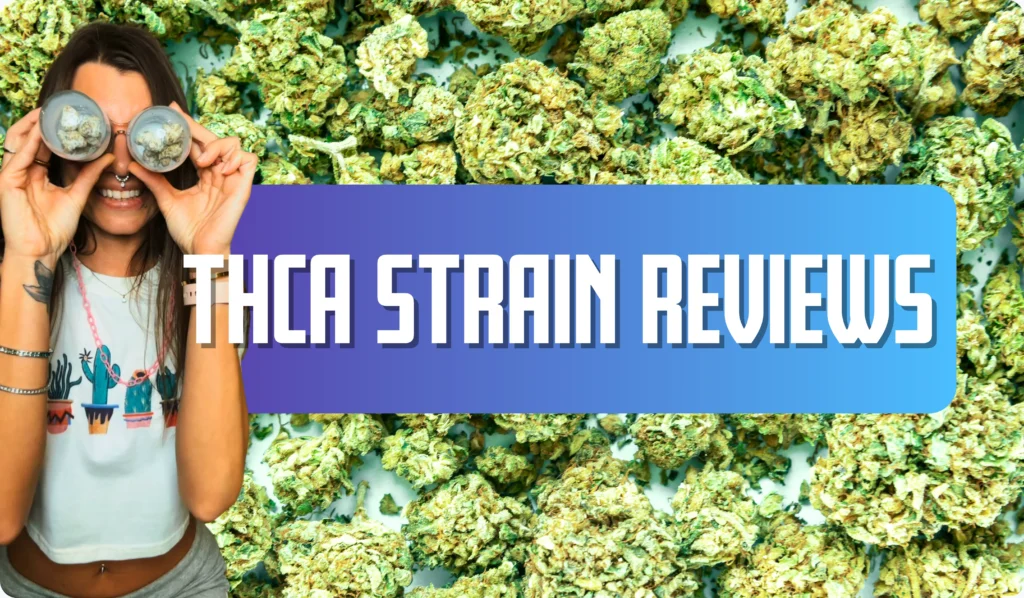 THCA Strain Reviews with THCA buds in the background